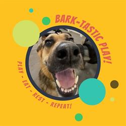 Bark Park Red Deer Riverside, opening hours