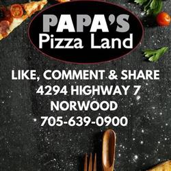 Papas Pizzaland Norwood, opening hours