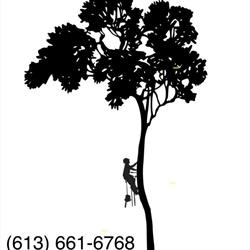 Bayshore Tree Service, Carrying Place, ON opening hours