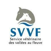 Service vétérinaire des vallées au fleuve inc, Saint-Arsene, QC opening hours