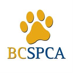 BC SPCA Abbotsford Branch, opening hours