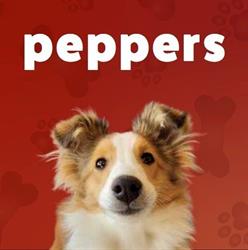 peppers Pet Food & Supplies, Hastings, ON opening hours