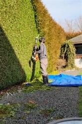 JRF Landscaping, Chilliwack, BC opening hours