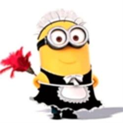 Aniko Cleaning Service, North York, ON opening hours