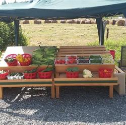 Hervieux Family Farms, Massey, ON opening hours