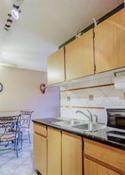Escape Away Elkford - for SALE, opening hours