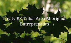 Rainy Lake Tribal Area Business & Financial Services Corporation, Fort Frances, ON opening hours