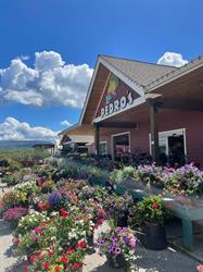 Pedros - Salmon Arm, BC, opening hours