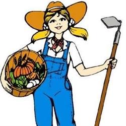 Athabasca Farmers' Market, opening hours