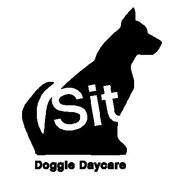 Sit Doggie Daycare, Vancouver, BC opening hours