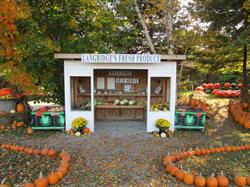 Langridge's Fresh Produce, Picton, ON opening hours