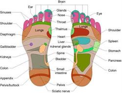 Sudbury Solesense Reflexology, opening hours