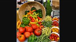 Bowden Farmers Market, opening hours