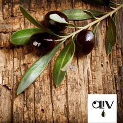 Oliv Regina, opening hours