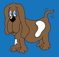 Sheri's Doggie Spa, Orillia, ON opening hours
