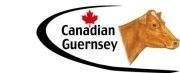 Canadian Guernsey Association, Brantford, ON opening hours