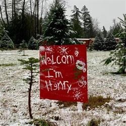 Baarts' Christmas Tree Farm, Langley, BC opening hours