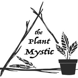 The Plant Mystic, Toronto, ON opening hours