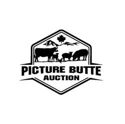 Picture Butte Auction Ltd., opening hours