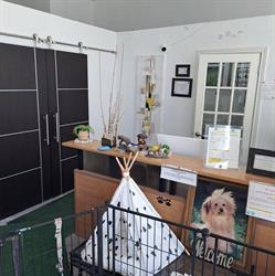 Woof Woof Dog Grooming Services, Oakville, ON opening hours