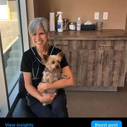 Sunset Ridge Veterinary Clinic Cochrane, opening hours