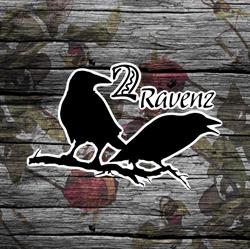 2Ravenz Metaphysical, Devon, AB opening hours