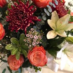 Petals & Clover Flowers, Gifts and More, Cardston, AB opening hours