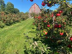 Dunnett Orchards, Brighton, ON opening hours