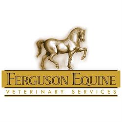 Ferguson Equine Veterinary Services, Mono, ON opening hours