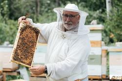 Whispering Pines Honey, Eganville, ON opening hours