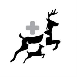 Highlands North Physio, Burks Falls, ON opening hours