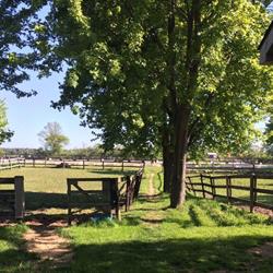 Stonehaven Farm, Harrow, ON opening hours