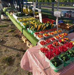Van Elswyk Farms Limited, Millgrove, ON opening hours