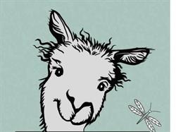 Little Foot Alpacas, Spencerville, ON opening hours