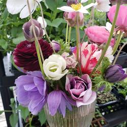 Flowers On Highland, Grand Bay-Westfield, NB opening hours