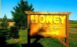 Honey For You, Codrington, ON opening hours