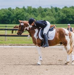 Clear Cadence Dressage, Wyoming, ON opening hours