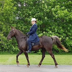 Silver Gait Stables, Oka, QC opening hours
