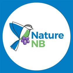 Nature NB, Fredericton, NB opening hours