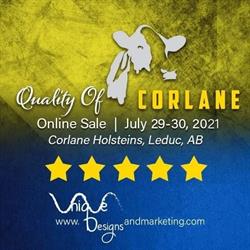 Corlane Holsteins + Awesome Jerseys, Leduc, AB opening hours