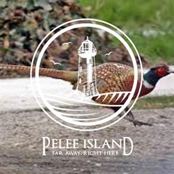 Pelee Island Pheasant Hunt, opening hours