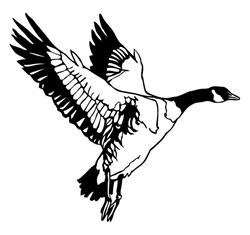 Honker Heaven Outfitters, Colonsay, SK opening hours