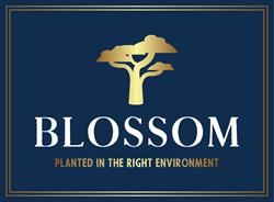 Blossom Lives, Newmarket, ON opening hours