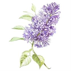 Bridal Bliss Wedding Planning And Event Design, Barrie, ON opening hours