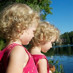 Braeburn Estates, Burnstown, ON opening hours