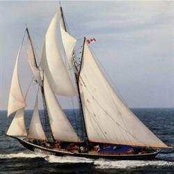 Bluenose Bed and Breakfast, Halifax, NS opening hours