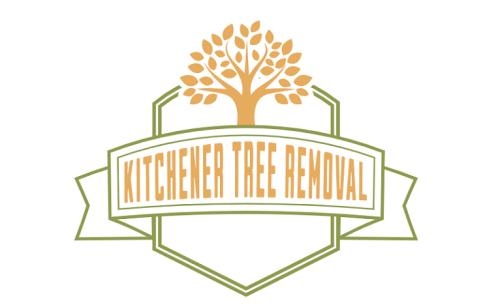 Kitchener Tree Removal, opening hours