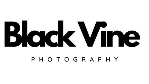 Black Vine Photography in Toronto, ON (Roncesvalles) - Opening Hours