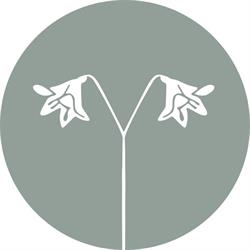 Twinflower Therapeutics, Whitehorse, YT opening hours