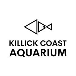 Killick Coast Aquarium, Paradise, NL opening hours